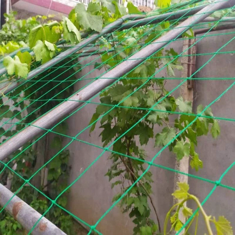 Садовая сетка для винограда, улучшенная версия, нейлоновая сетка, сетка для вьющихся растений «Утренняя слава», бытовая сетка для вьющихся растений, огурцы