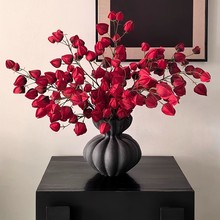 ������\���ٻ��߼��мҾӿ͏d�[�O�鷿�[�����w������������滨