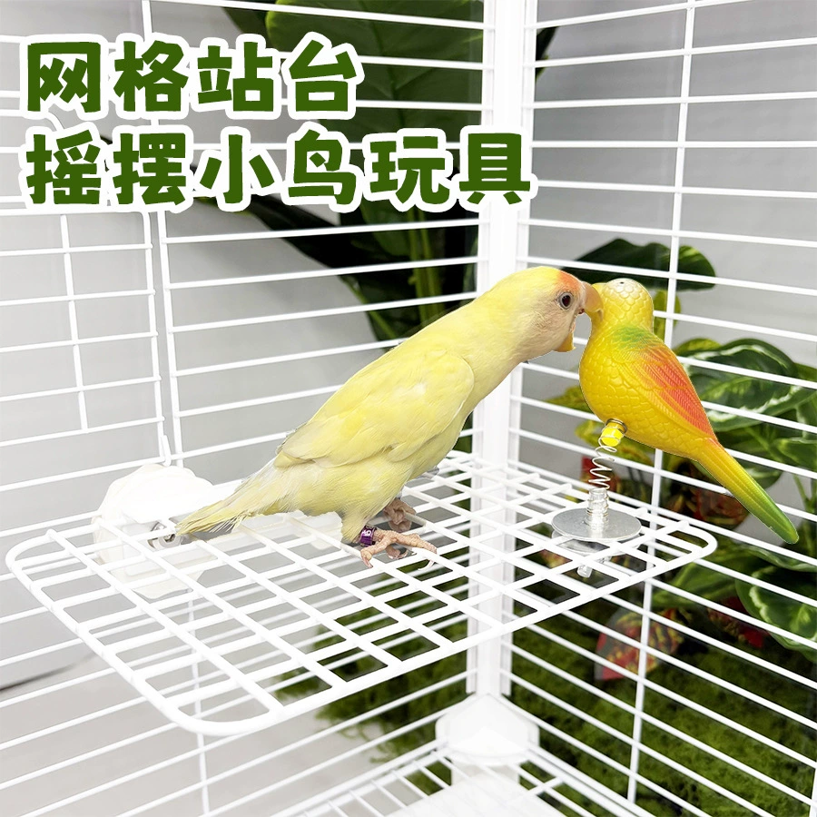 Играшка, набор, избавление от скуки, может лазить, может кусаться, (передача через границы)