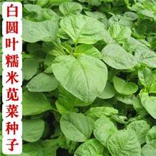 ׈A~Ŵ{˷NrҸ߮a{˷N͟͝ļ׷N߲˷N