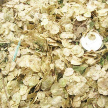 ܘNܘ䠝NܘķNӖ|ܘNܘX~XN