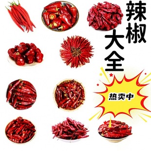 �����ɸ������M�����l���Ͻ��{ζ����ħ�������\�����콷�S��