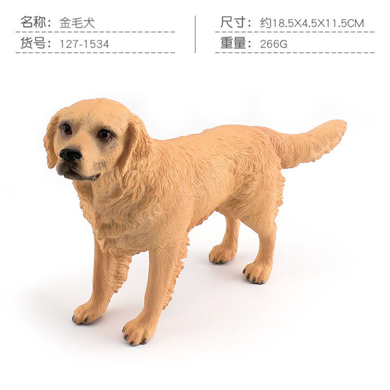 PL127-1534 perro golden retriever 266G