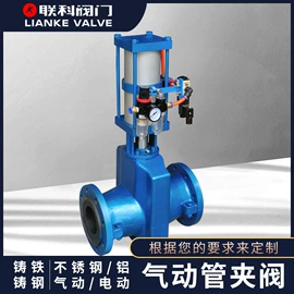 过滤器;其他阀门;隔膜阀