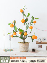 ��� ���Ә�Gֲ�����b� ��ۼٻ�ֲ����w���^�괺���[��