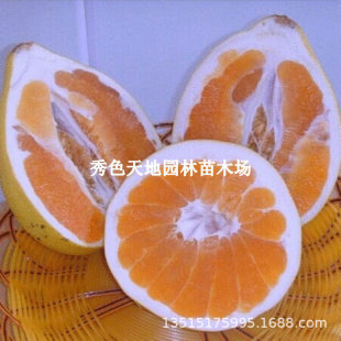 �����֘���޽ӟo���S���������Ә�����Ʒ�N�������Ե��Ԯ���Y��