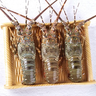 ���С�����|ɽ�u���r�����ش���޴����rһ��Խ���������rˮ�a