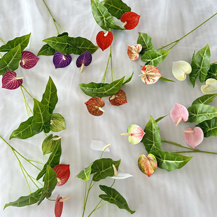 Ʒ滨tƾƵd廨[ֹ̈ǰ̨bֲԼٻ