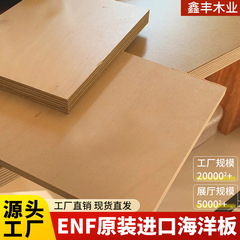 进口海洋板批发环保全桦木胶合板家具板护墙板防潮一手货源规格齐