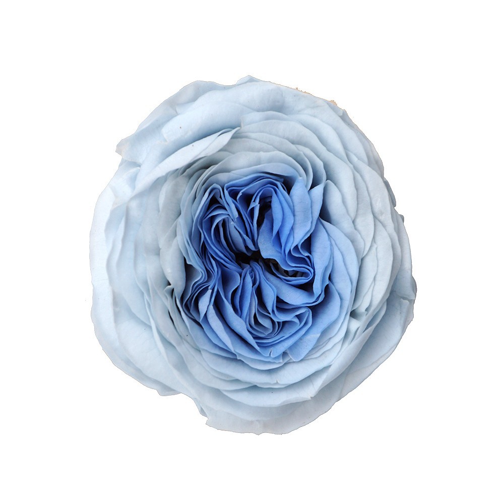 3-3.5 CM-12 flores/caja-azul claro + Corazón Azul