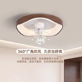 吸顶灯;吊灯;风扇灯