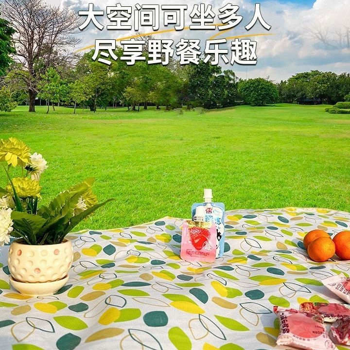 Waterproof and Thick Portable Outdoor Travel Camping Picnic Ground Mat Lawn Spring Outing Moisture-Proof Beach Mat