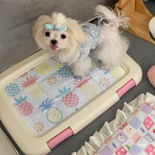 �����������ﶨ�c����̩�ϐ����z��С��Ȯ��|�����бPӖ���T����