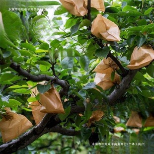 Fruit Bagging Bag, Apple, Yellow Peach, Pear Bag, Fruit Tree Insect-Proof Bag, Loquat Bag, Rain-Proof Double Layer