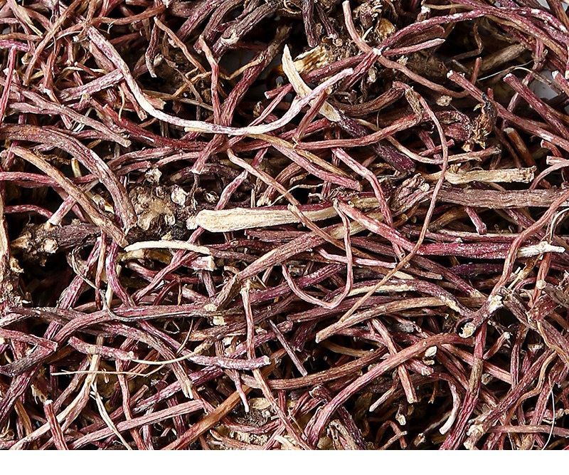 Dried Aster Root Zi Wan 100g Canister Sun Dried TCM Herbal Tea and Decoction Herb in use