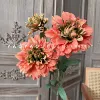 3 heads of heavy petals big flowers orange