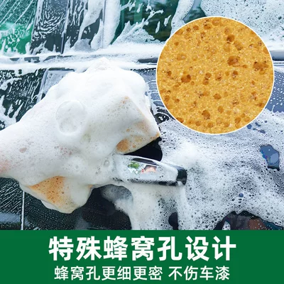 Paint, Absorbs Water, Glass Cleaning Tool — Car cleaning tools