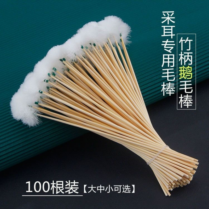 Herramientas de orejas, agujas de plata, palo de ganso, palo de caballo, palo de orejas, conjunto profesional de orejas, cuchara de orejas