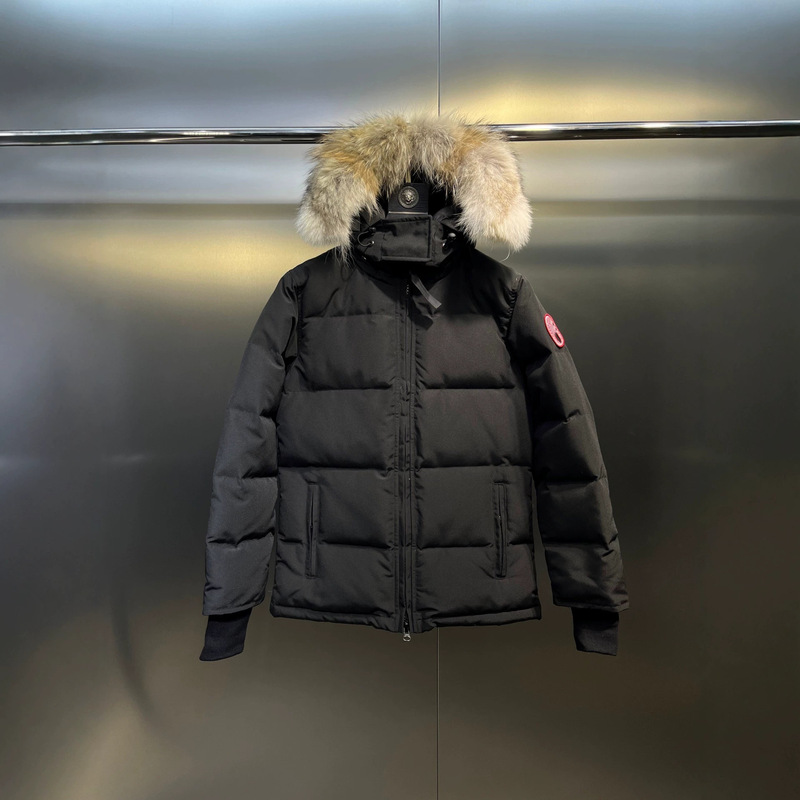 Chelsea Goose 04 high-end version foreign trade cross-border 26ss autumn and winter down jacket slim fit for men and women Chelsea Goose 04 high-end version foreign trade cross-border 26ss autumn and winter down jacket slim fit for men and women