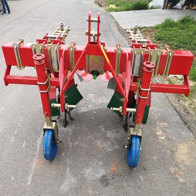 福建2025散养比利时种U8国际- U8国际官方网站- U8体育APP下载兔子养殖基地在泉州龙岩宁德漳州三明南平福州