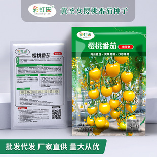 S}ŮNSСѷNļСtNݴִ֧l