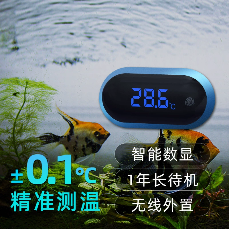 Thermomètre très précis, aquarium, capteur électronique, affichage LED