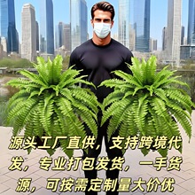 �羳18�~��ʿ�Dާ�~��˹���x���R�dtemuƽ̨������滨Դ�^�����S