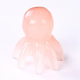 经络保健器材;美发梳;鱼缸清洁用具