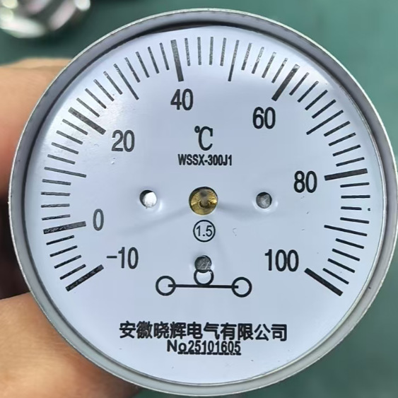 WSSX-301J1表盘直径60mm轴向型电接点温度计温度-10~100℃