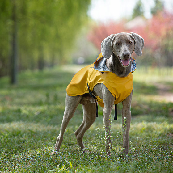 Cross border pet pu raincoat pet clothes medium and large portable universal dog supplies wholesale