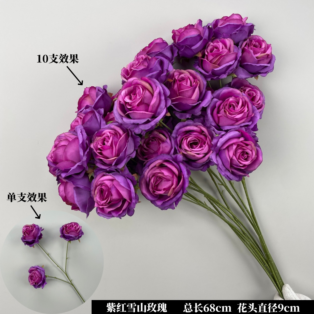 밝은 노란색 보라색 눈 산 장미