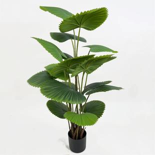 ����A�~�ؙ��������_���ְַ���ֲ���辰�Ҿ��b�ˇƷ���l