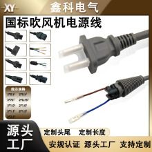 國標兩插電源線 吹風機兩插電源線 兩腳插頭線 戴森吹風機電源線