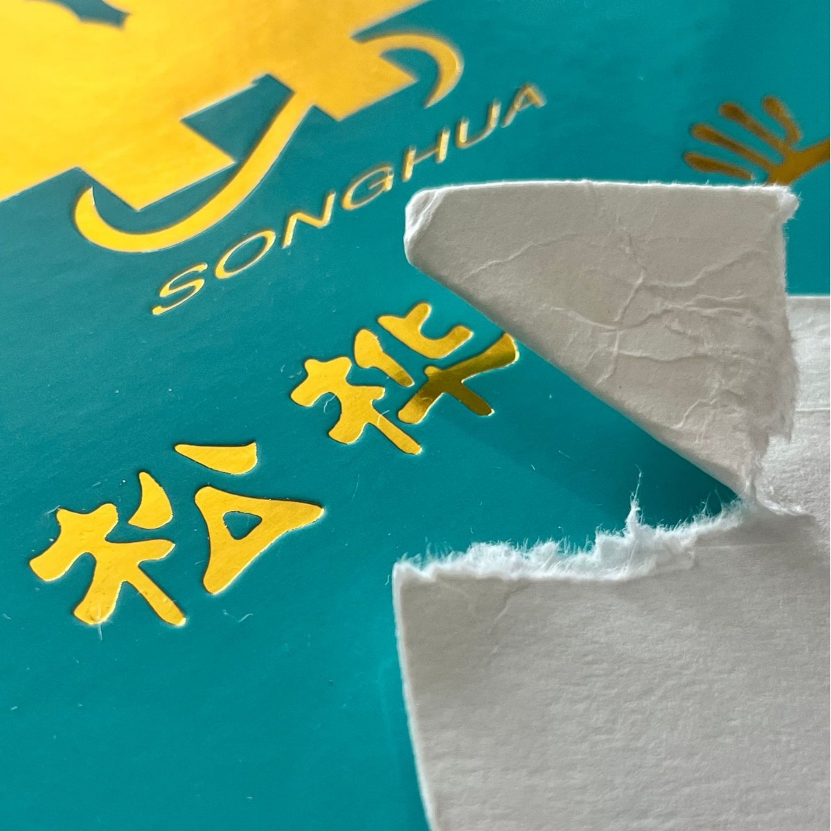 2024-07-20 09:20:20.jpg