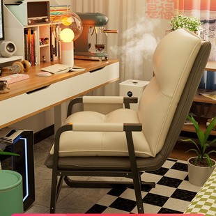 Computer Chair Home Comfortable Sedentary Back Chair College Dormitory Lazy Sofa Lounge Chair Bedroom Study Seat