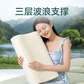 乳胶床垫;乳胶枕;其他枕芯