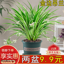 ��߅���m���ԾGֲ�����҃�ˮ��ˮ�B�����՚��ļ�����͏d���˺��B