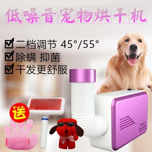 Dog hair dryer pet hair washer high power Golden Retriever and Terrier cat hair dryer for wholesale