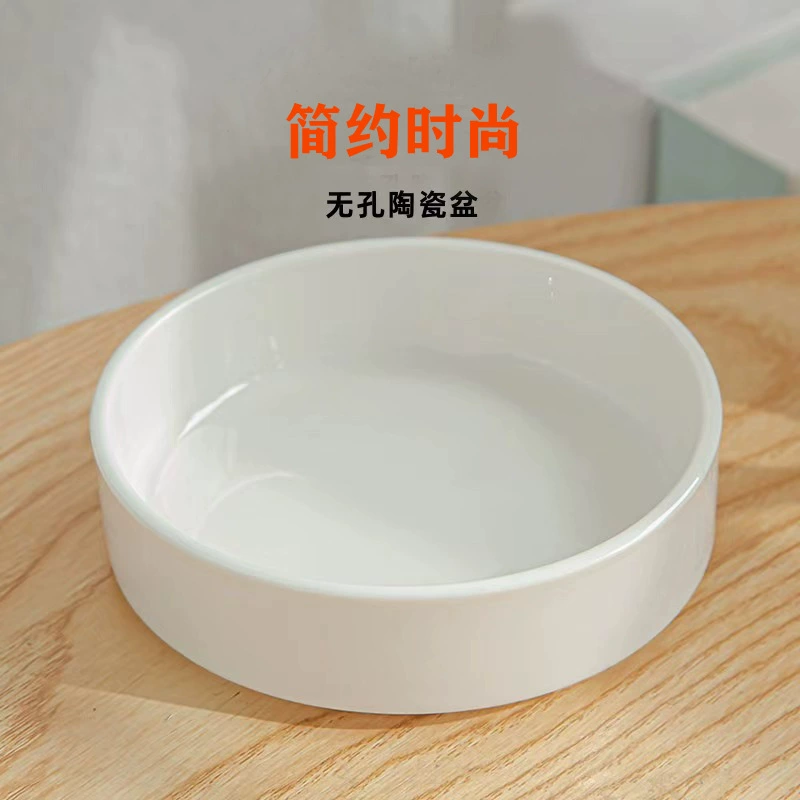 Керамическая чаша, поднос из бразильского дерева, гидропонная емкость, непористое основание для горшка, устойчивое к высоким температурам, простой цветочный горшок для выращивания в воде.