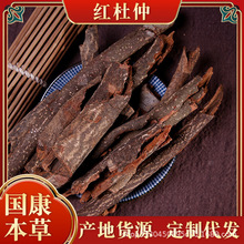 �t�������l�t�����پ�ţ���u���ټt����Ƥ�e�������ٰ��z����Ƥ