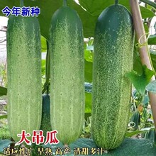 ������ϻ������ϷN�Ӵ��＾������͟ẵ�S�ϷN���ļ��r�Ҳ�