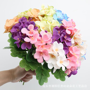 ���滨���򻨺��Ļ���ˇƷ��c�����廨�Ҿӿ͏d�b[���羳���l