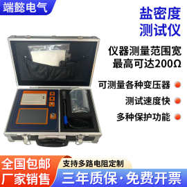 直读式盐密度检测仪智能彩色触摸屏盐密仪绝缘子等值密度测试仪