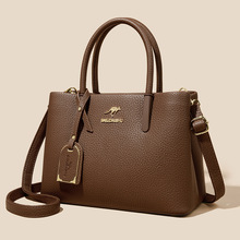 ���Q���NŮʿ�����2026�¿�������W���r�и߶�Ů���μ�б�����