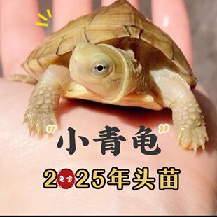 �����B��С�����S��Mˮ�����S���ϱ�ʯ���Nʯ���X����С��������