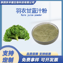 羽衣甘蓝汁粉羽衣甘蓝粉果蔬粉浓缩粉kale Powder甘蓝青汁粉1kg
