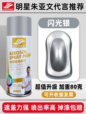 Metal Anti-rust Paint Wall – Avtomobil boya qələmləri - shushun-self-painted-450mlflash-silver
