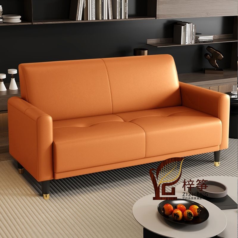 Fabric Sofa for Small Living Room, Single or Two-Person Rental Apartment, Light Luxury Simple Style, Suitable for Clothing Store or Apartment, Three-Seater with Cat Paw Pattern