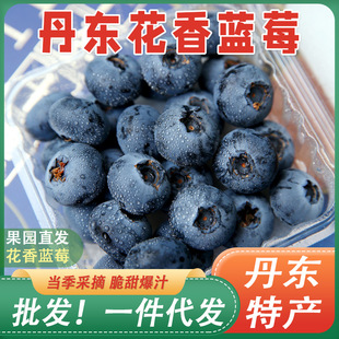 ���|�{ݮ����������������r��ժ�����r���հl�{ݮ��Ҏ��