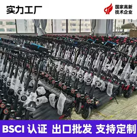 滑板车;平衡车;其他电动车